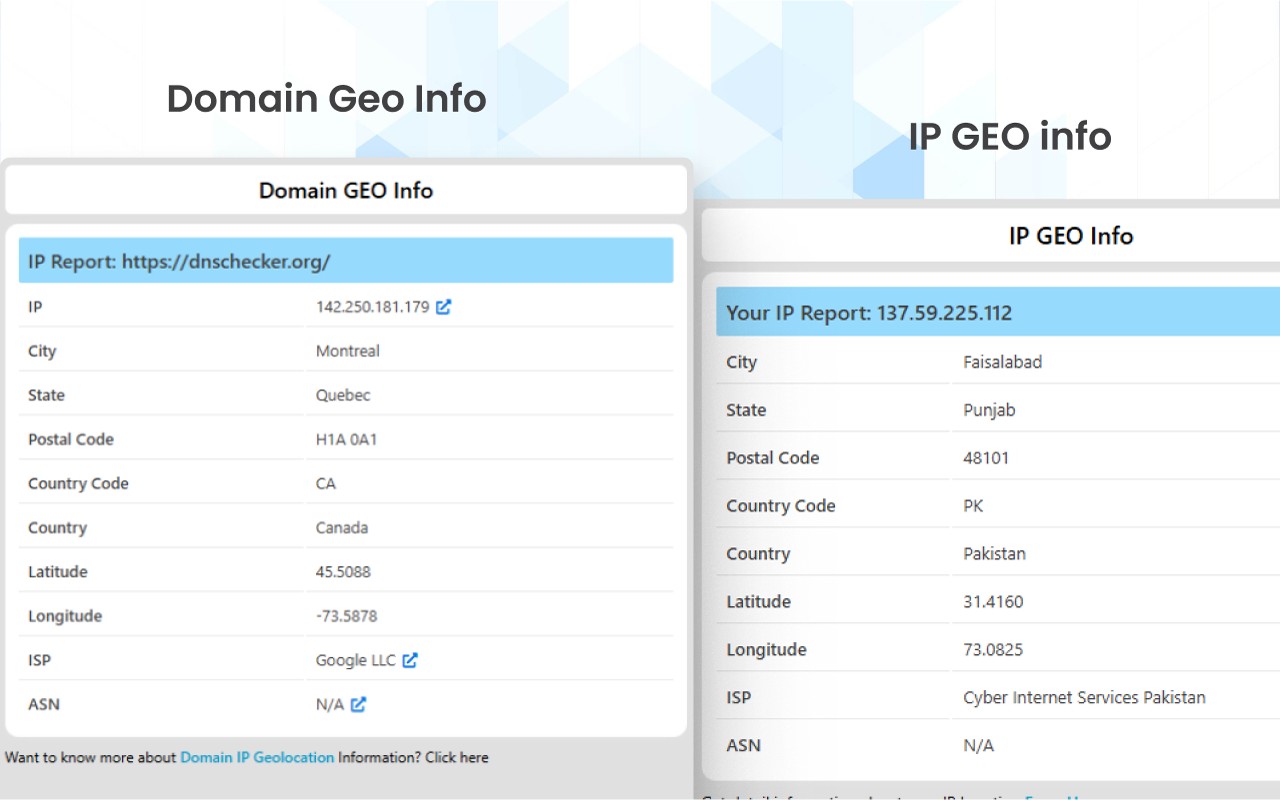 DNS Checker - SEO and Domain Analysis screenshot