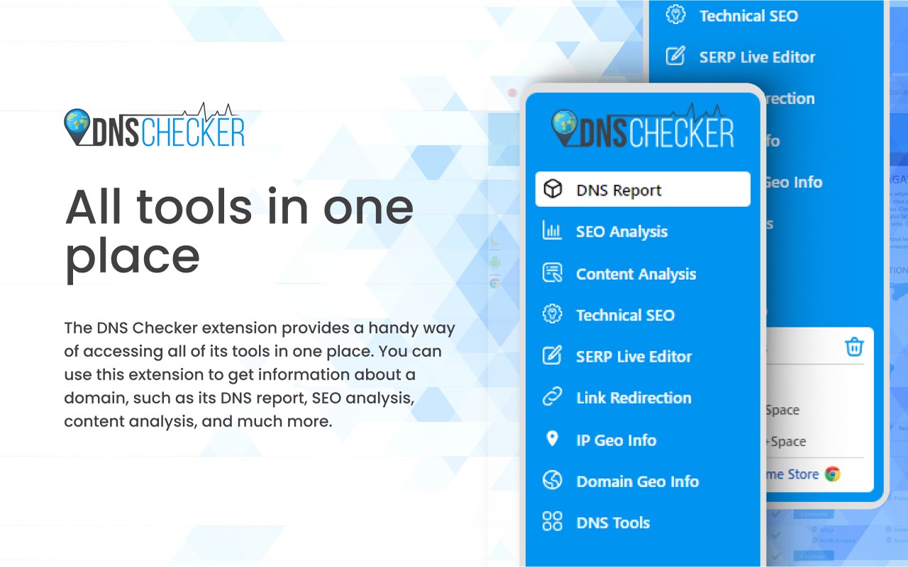 DNS Checker - SEO and Domain Analysis screenshot