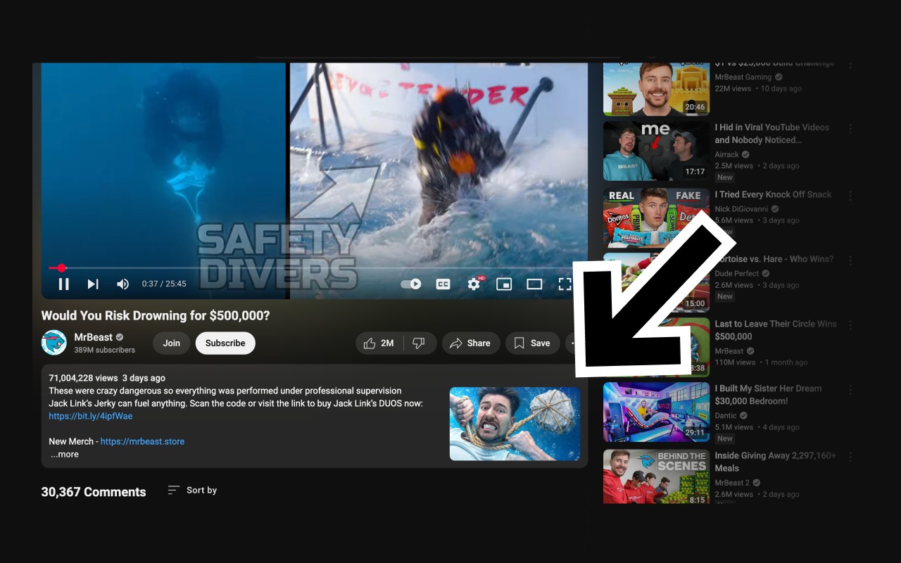 YouTube Thumbnail Viewer screenshot
