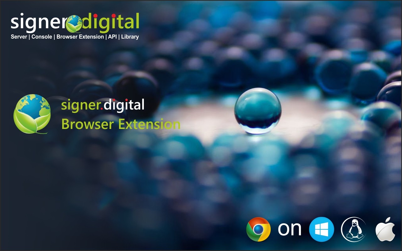 Signer.Digital Digital Signature, PKI screenshot