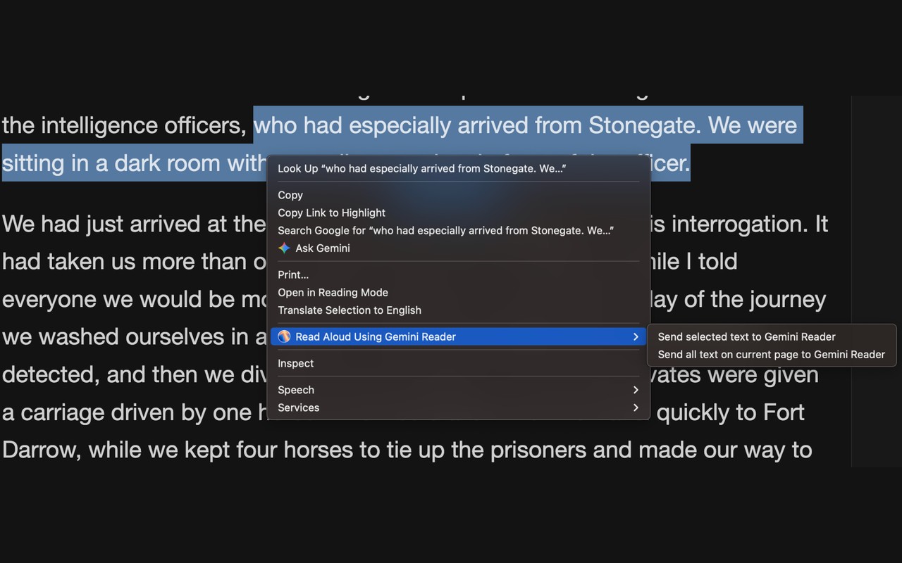 Gemini Reader: Free AI Text to Speech with Google Voices, TTS screenshot