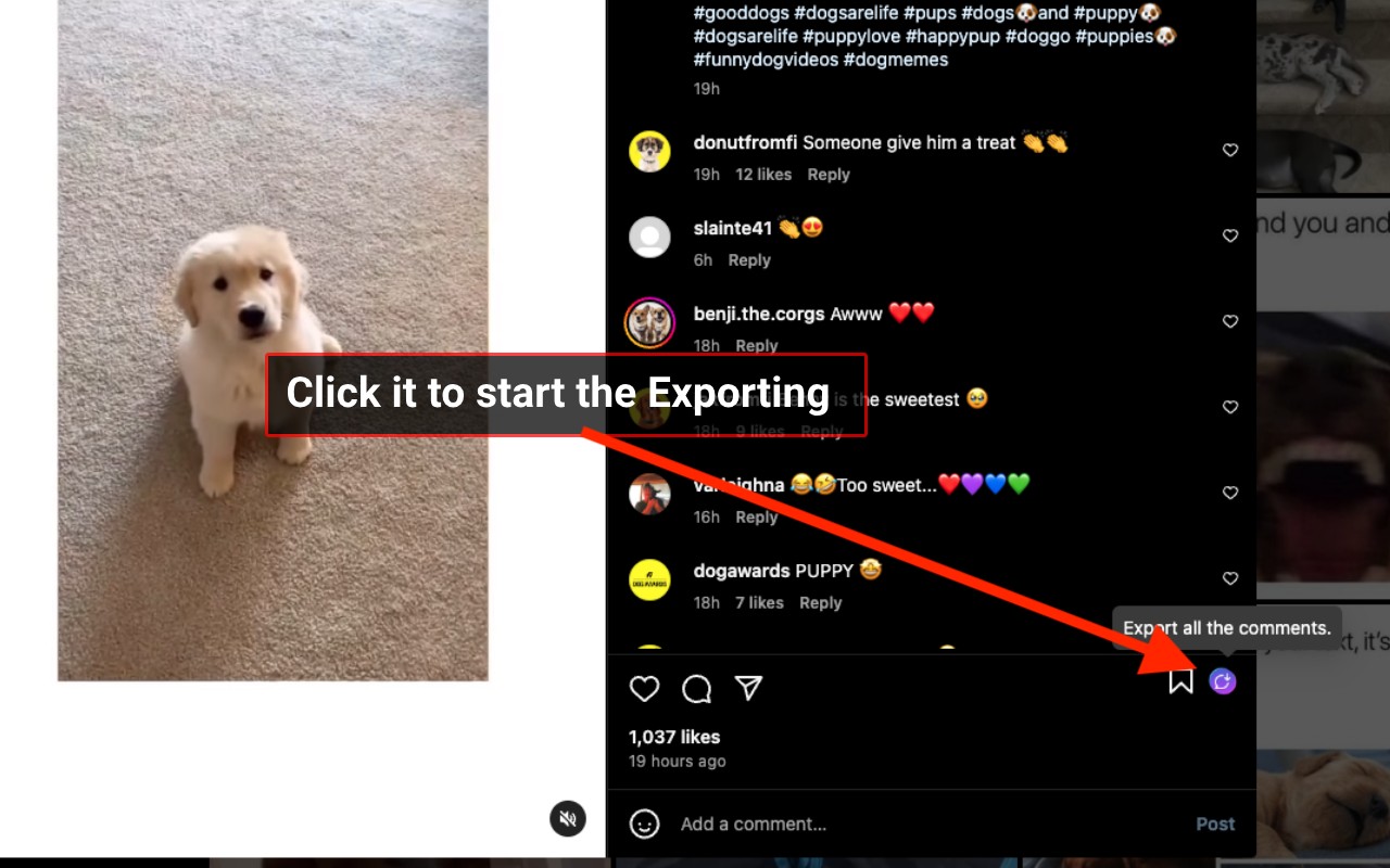 ESUIT | Comments Exporter for Instagram™ screenshot